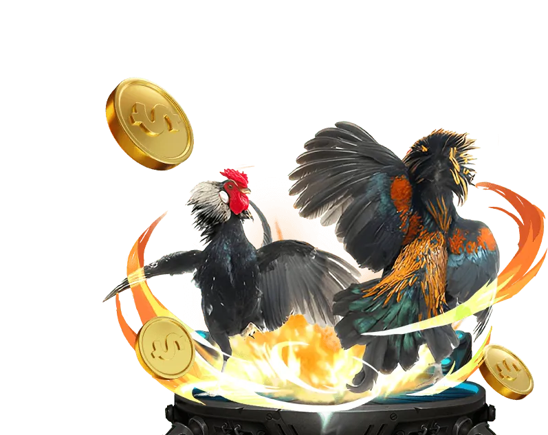 Các giải đấu đá gà lớn